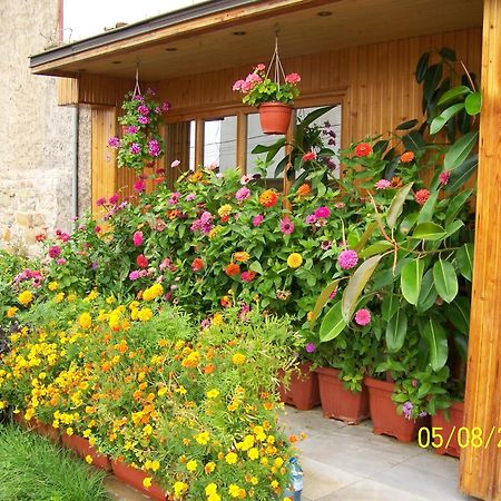 Hotel Comfort Weliko Tarnowo Exterior foto